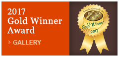 2017 Gold Winner Award
